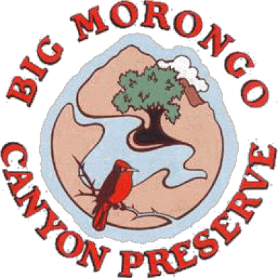 Big Morongo Canyon Preserve