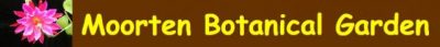 Moorten Botanical Gardens